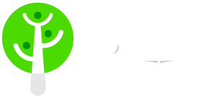 homepage